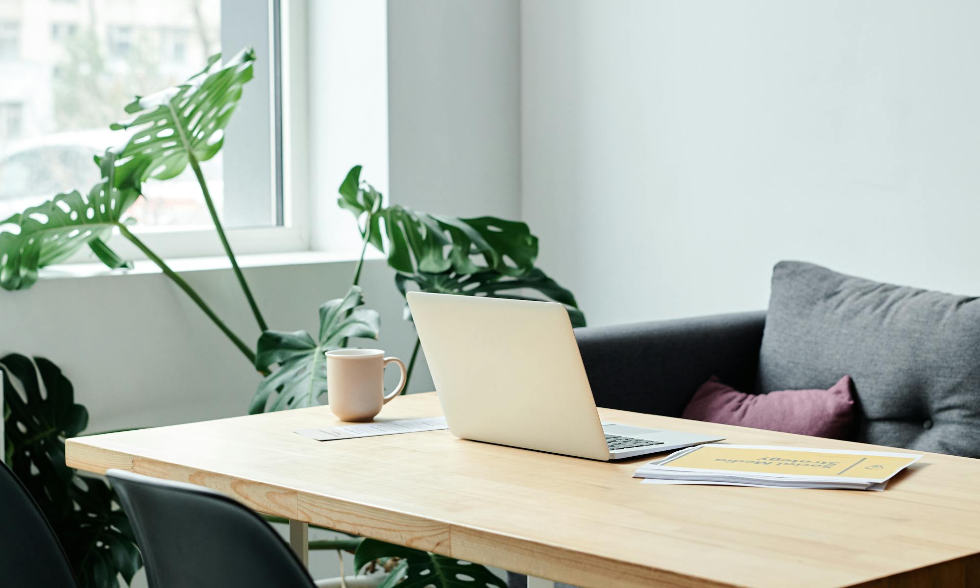 Contemporary work space. Silver laptop open on a wooden desk, with mug and papers. Large green plant on the floor, modern chairs in front of desk and contemporary grey sofa behind. White walls and large full length window in the corner with office blocks barely visible outside. Image is suggestive of contemporary business.